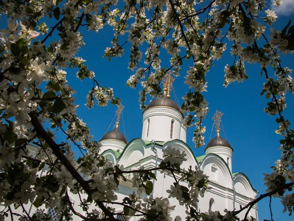 Из Нижнего Новгорода — в славный Муром и село Карачарово! - фото 3