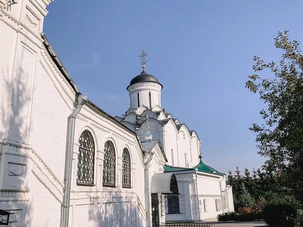 Нетипичный Владимир - фото 4