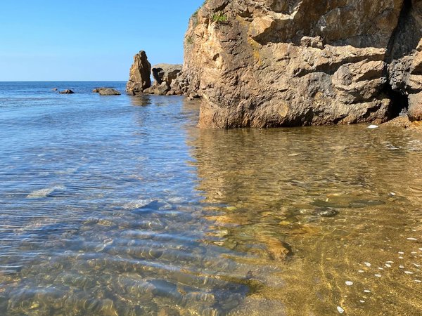 Побережье Японского моря и Штыковские пруды — из Владивостока - фото 3