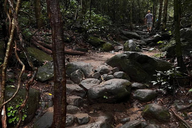 Фото экскурсии - Путешествие по джунглям в поисках "Следа Будды" - 6