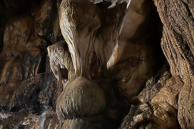 Фото экскурсии - Путешествие по джунглям в поисках "Следа Будды" - 7