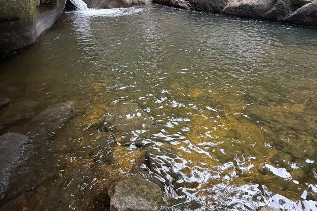 Фото экскурсии - Путешествие по джунглям в поисках "Следа Будды" - 9