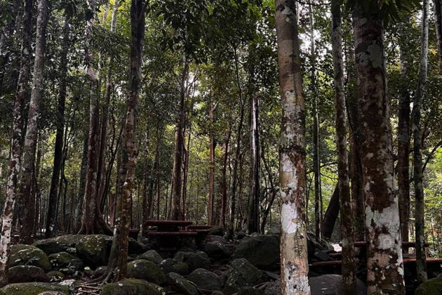 Фото экскурсии - Путешествие по джунглям в поисках "Следа Будды" - 13