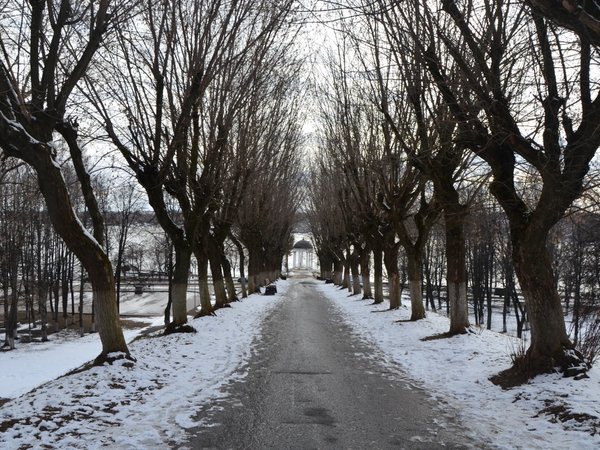 Кострома — первое знакомство - фото 2