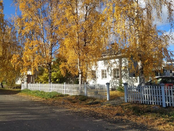 Петрозаводск в трех веках - фото 2