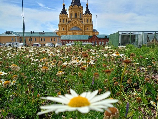 Очарование Нижнего Новгорода - фото 2