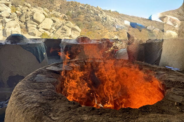 Фото экскурсии - Горы, сады, кишлаки, и дегустация барашка запеченного в тандыре. - 7