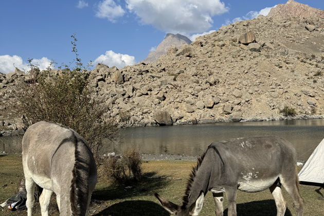 Фото экскурсии - Горы, сады, кишлаки, и дегустация барашка запеченного в тандыре. - 13