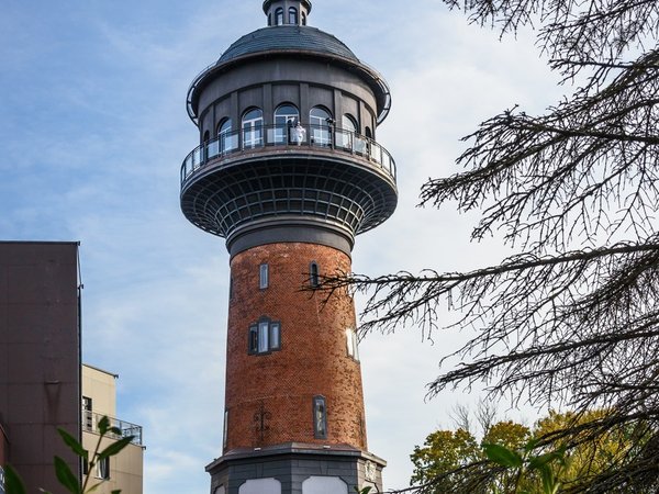 Из Калининграда — на сыроварню, Куршскую косу и в Зеленоградск - фото 4