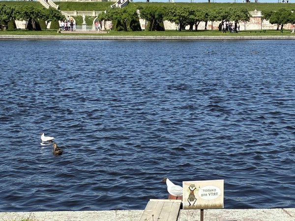 С корабля на бал: в Петергоф на метеоре с индивидуальным гидом - фото 4