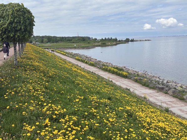 С корабля на бал: в Петергоф на метеоре с индивидуальным гидом - фото 2
