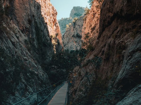Сафари на открытом автобусе к каньону Сападере - фото 4