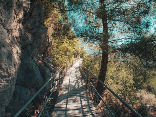 Сафари на открытом автобусе к каньону Сападере - фото 3