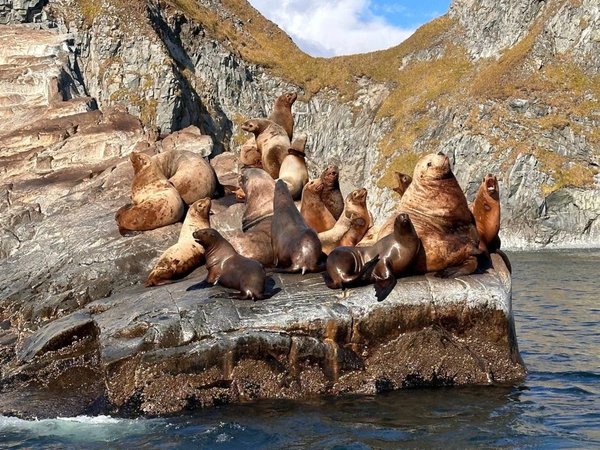 Бухта Русская — с высадкой на берег, морской рыбалкой и крабовым сафари - фото 2