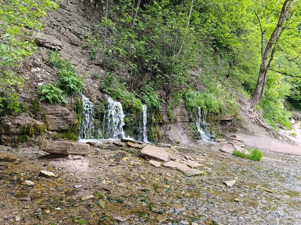 Из Пскова в Изборск и Печоры: две крепости, две святыни - фото 3
