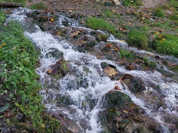 Из Пскова в Изборск и Печоры: две крепости, две святыни - фото 4