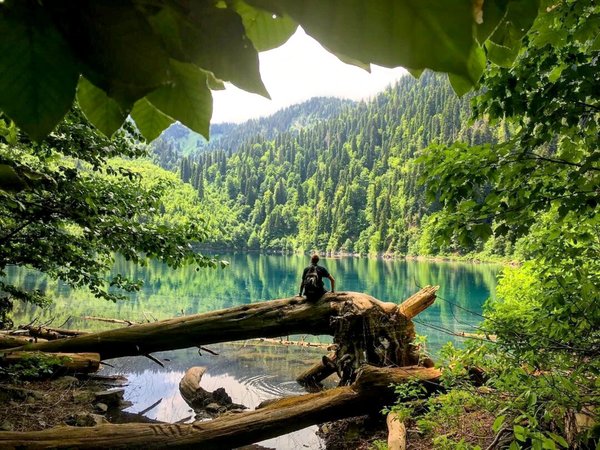 Путешествие по национальному парку: из Гагры — на озеро Рица - фото 1