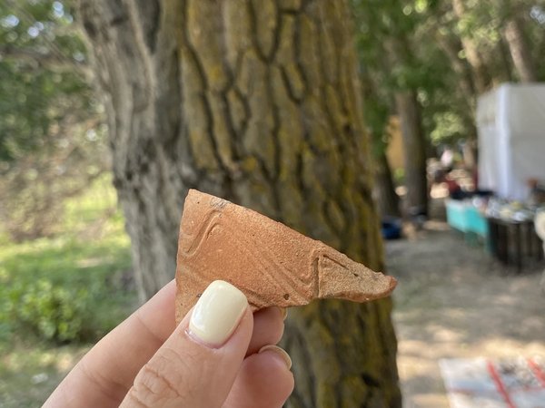 В гости к археологам: экспедиция на поиски Хазарского каганата (из Астрахани) - фото 4