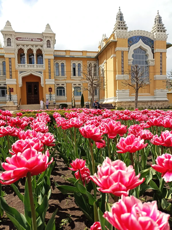 Знакомьтесь, Кисловодск!