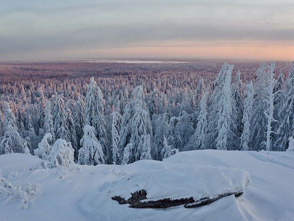 Северный Урал — побывать в царстве тайги и камня - фото 4