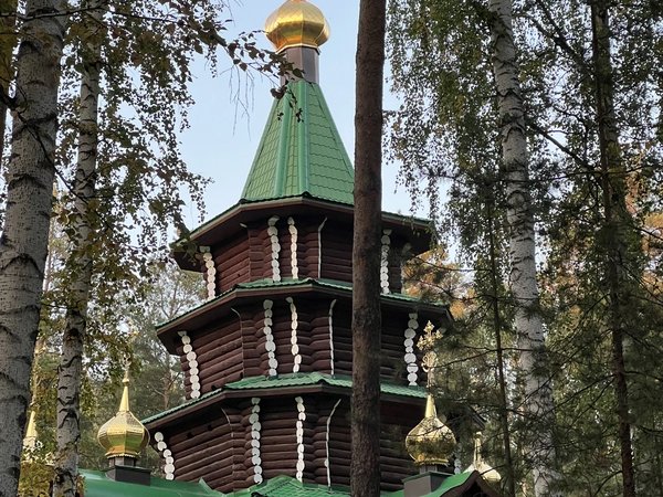 Два месяца из жизни последнего императора России: по следам уголовного дела - фото 4