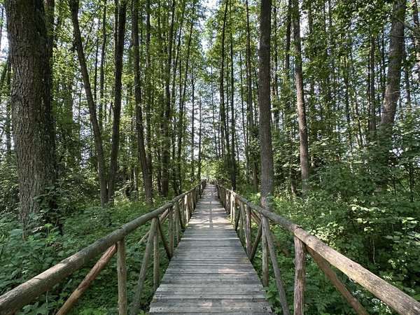 Трансфер из Гродно: Беловежская пуща, Каменец, Брестская крепость и Брест - фото 4