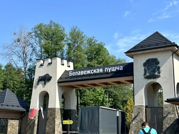 Трансфер из Гродно: Беловежская пуща, Каменец, Брестская крепость и Брест