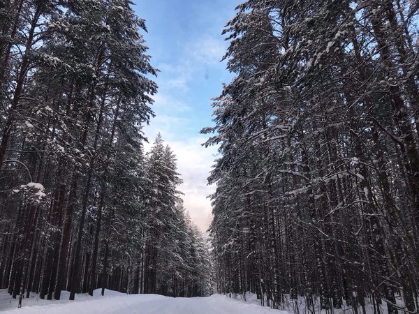 Прогулка на конях по неизведанной и заброшенной Карелии - фото 4