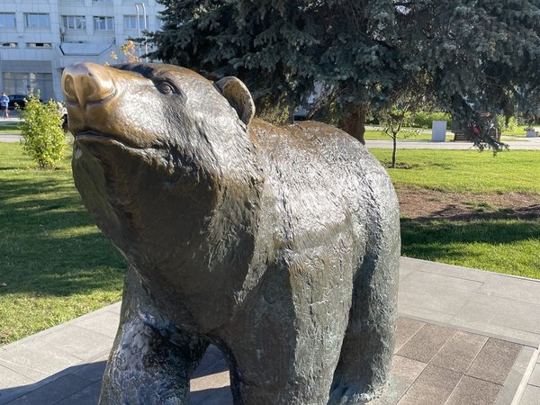 Путешествие из купеческой Перми в страну «Пера Маа» и обратно - фото 3