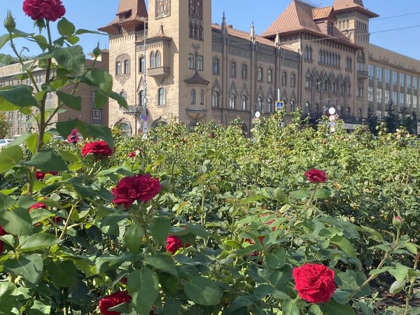 Саратов, история, тропики: экскурсия по городу с посещением лимонария - фото 2