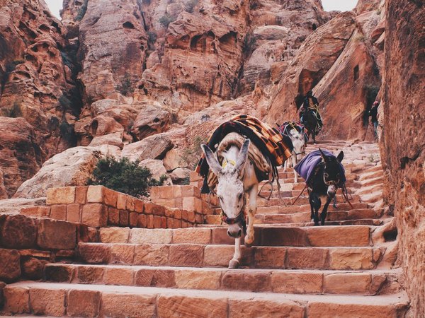 Иордания и древняя Петра: групповая экскурсия - фото 4