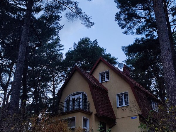 Знакомьтесь, Светлогорск - фото 3