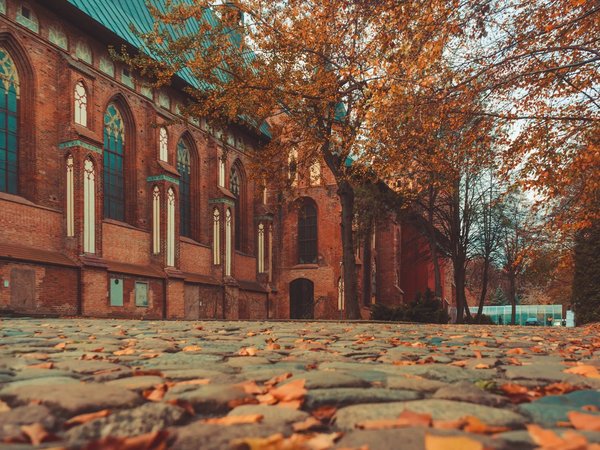 Калининград на одном дыхании - фото 1