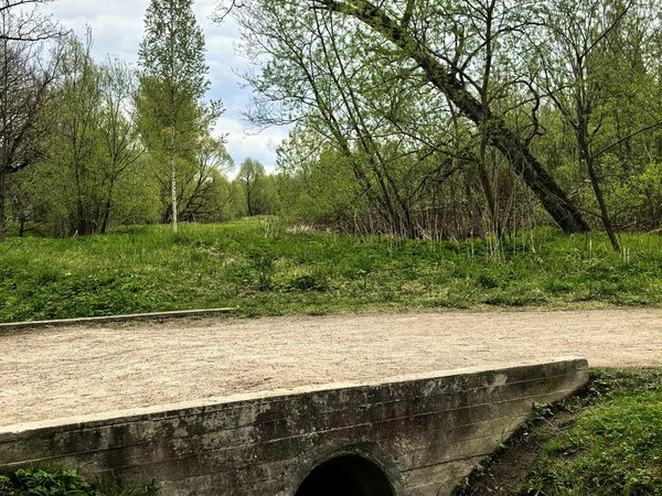 Пушкин, Павловск, Царское Село: путешествие сквозь время - фото 4
