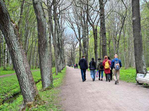 Пушкин, Павловск, Царское Село: путешествие сквозь время - фото 3