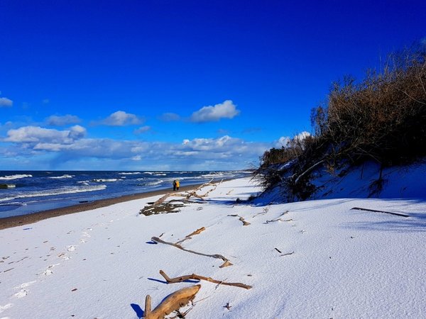 История и природа Куршской косы с гидом-писателем (из Зеленоградска) - фото 3