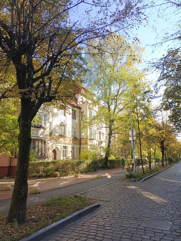 Из центра Калининграда в Амалиенау: обзорная экскурсия на 2 часа