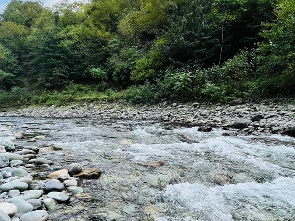В гармонии с природой: экскурсия в нацпарк Мачахела - фото 3