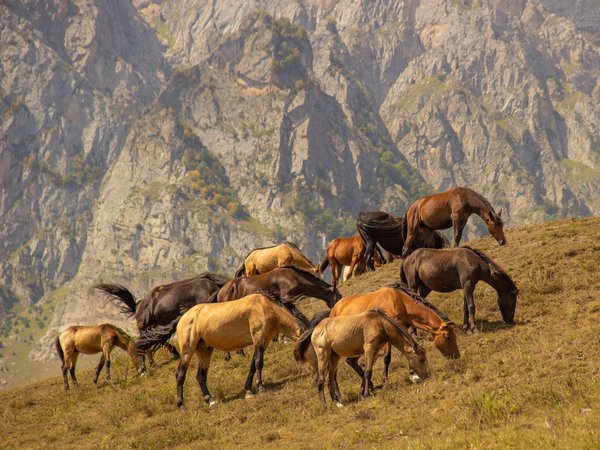 Северная Осетия. Топ-10 и осетинские пироги! - фото 1