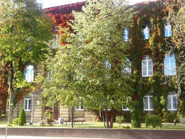 Швейцарская долина, или Второй день в Гродно - фото 3