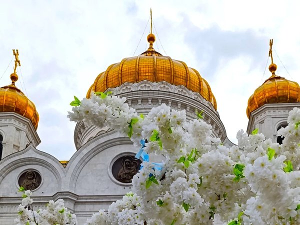 От земли до неба: экскурсия по храму Христа Спасителя
