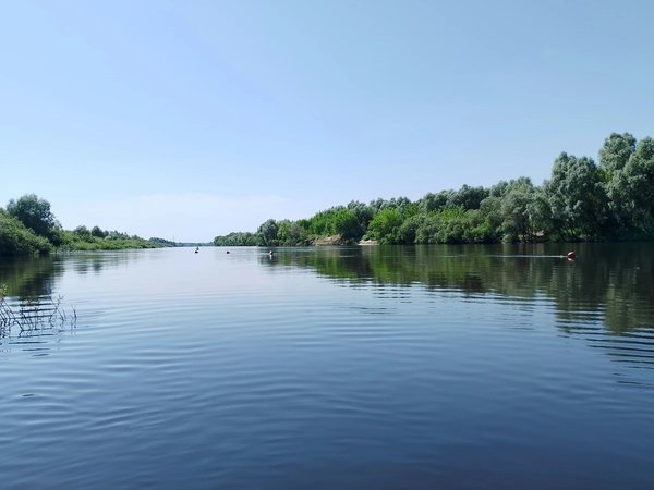 Маленькая Амазонка: по Каменной протоке — на сапах или байдарках - фото 4