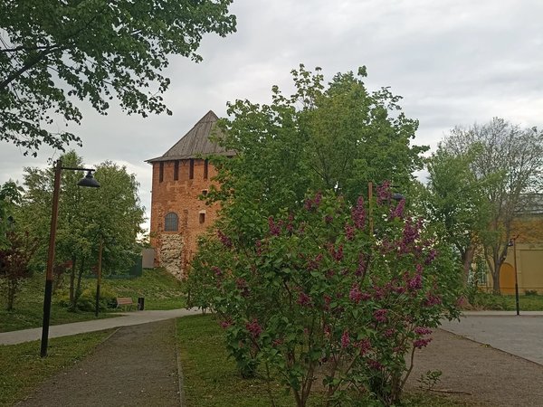 По Коломне с фотоаппаратом - фото 4