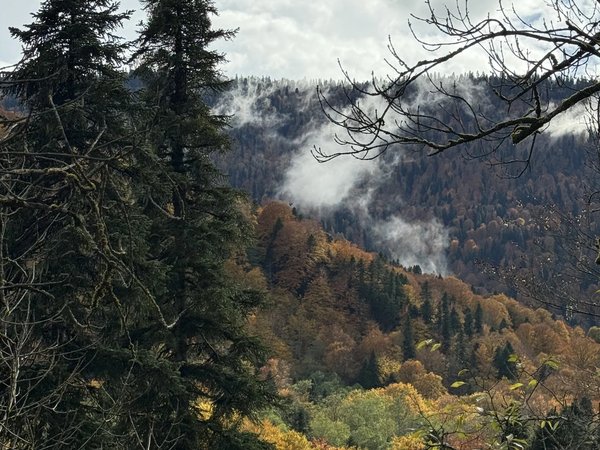 Лаго-Наки и Мезмай за 1 день (из Краснодара) - фото 4