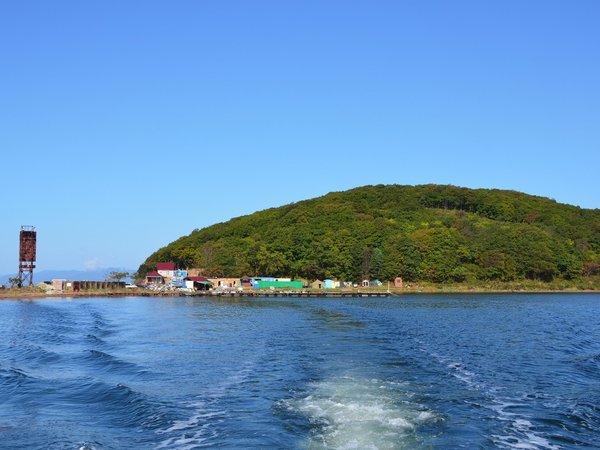 Поездка на остров Русский с посещением морской фермы - фото 4