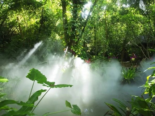 Из Саньи — в джунгли Янода - фото 4