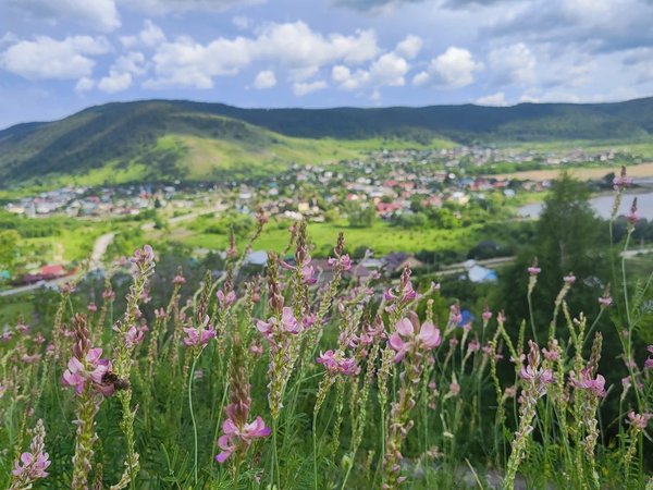 Сокровища Жигулей: заповедные тропы, легендарные истории и лучшие виды - фото 2