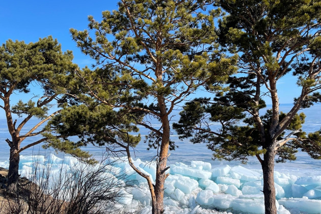 Фото - экскурсия: Однодневное путешествие по зимним узорам Байкала