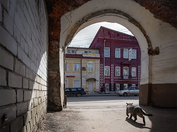 Захватывающий Нижний: от спиритических сеансов Даля до соляных афер