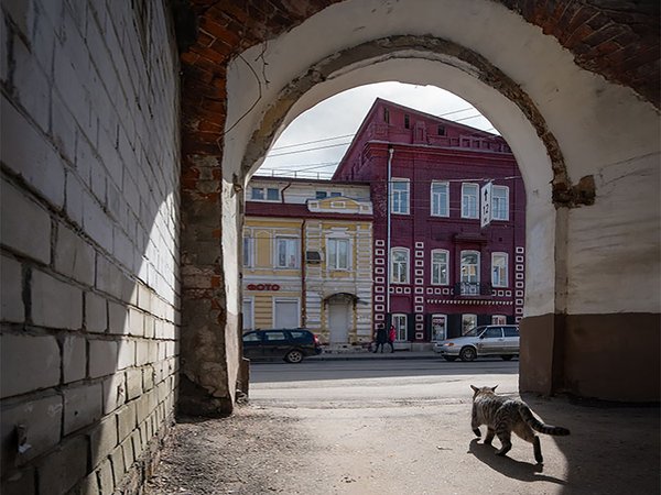 Захватывающий Нижний: от спиритических сеансов Даля до соляных афер - фото 1